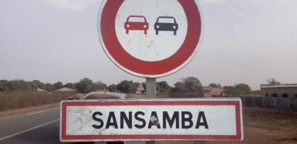 Sédhiou : Une bande de voleurs de bétail démantelée à Sansamba