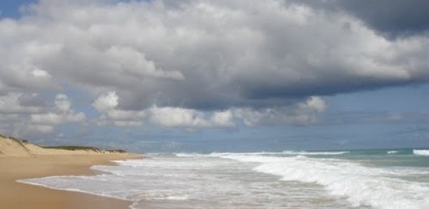 Plage de Malika : 3 nouveaux corps repêchés