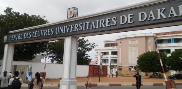 Ucad : Le Saes suspend les cours