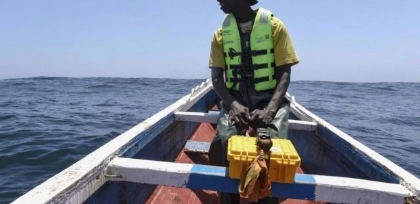 Sénégal-Gambie : Vers une suspension des accords de pêche