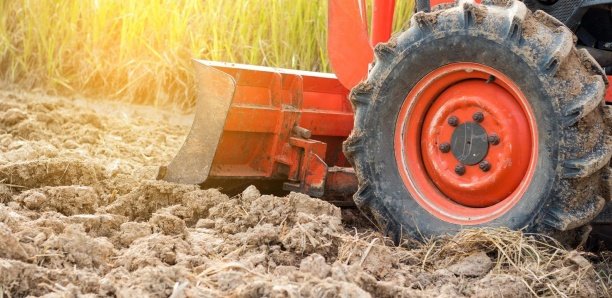 Horrible fin de deux femmes migrantes : endormies dans un champ, elles meurent écrasées par un tracteur