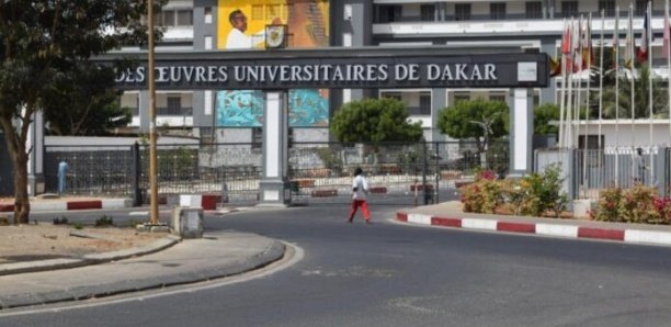 Violences à l’Ucad : Plus de 250 étudiants convoqués devant le conseil de discipline