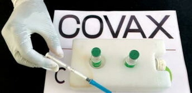 Vaccins : le dispositif Covax espère recevoir 250 millions de doses en six à huit semaines