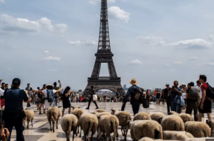 France : les émigrés sénégalais prêts à célébrer la Tabaski