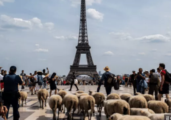 France : les émigrés sénégalais prêts à célébrer la Tabaski