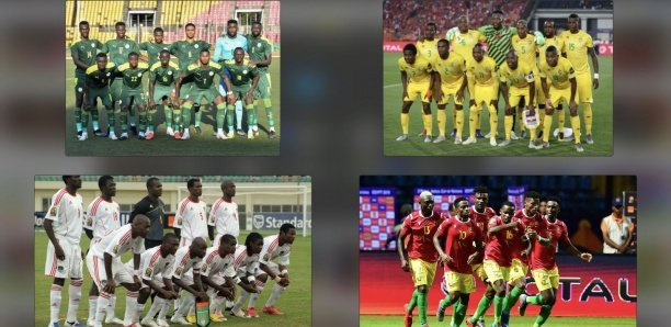 Can-2021 : Zoom sur les adversaires des Lions