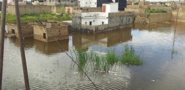 Keur Massar : Pastef réclame un audit du projet de lutte contre les inondations