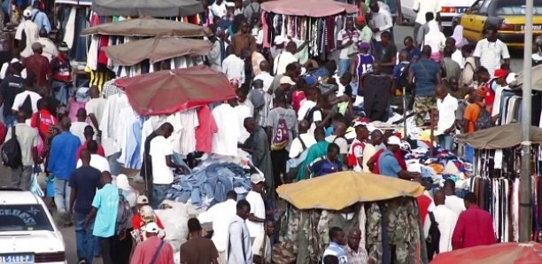 Anarchie au «marché Gambie» de Colobane : Ousmane Ndoye au banc des accusés