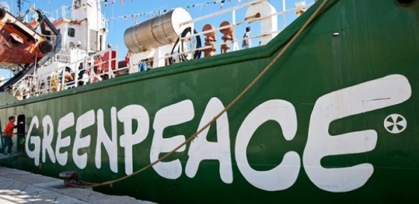 Farine et huile de poisson : Greenpeace Afrique dénonce l’installation d’une usine à Sandiara