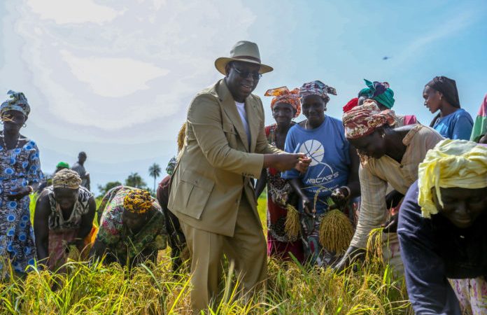 Agriculture 2021 au Sénégal: Les belles réalisations du Président Macky Sall dans ce secteur