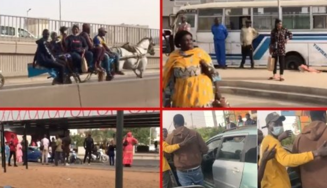 [Photos-Vidéo] Grève transport urbain – Les charrettes prennent le pouvoir : Dakar retourne au Moyen-Age !