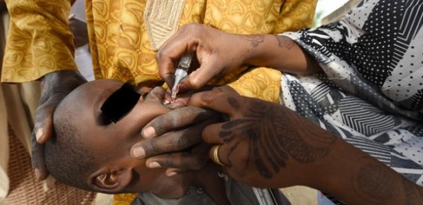 17 cas humains de Polio entre janvier et décembre : Le Sénégal lance la campagne de vaccination …