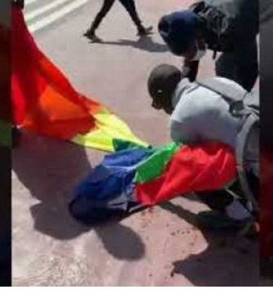 Assemblée Nationale: Karim Xurum Xaax et 8 autres membres de Nitou Deug arrêtés pour avoir brûlé un drapeau Lgbt