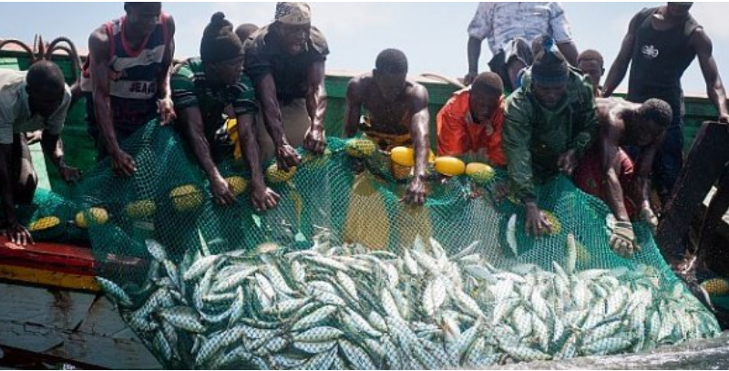 Accords avec la Turquie : Les acteurs de la pêche craignent le syndrome Senghor