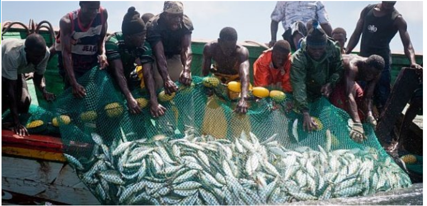 Accords avec la Turquie : Les acteurs de la pêche craignent le syndrome Senghor