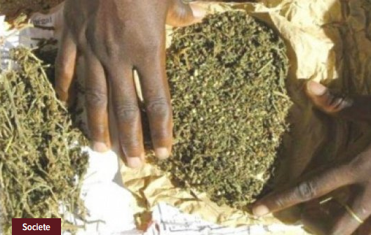 Tambacounda : un vaste réseau de trafic de drogue démantelé, un soldat arrêté avec 7 kg de…