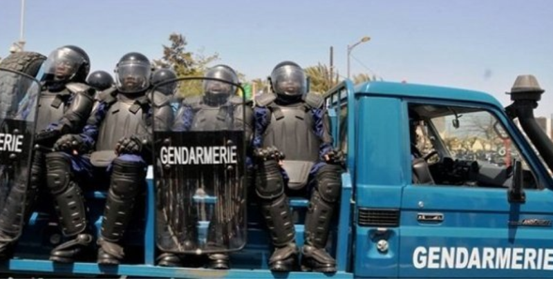 Lutte contre le vol de bétail : La gendarmerie installe 3 brigades dans la zone sylvo-pastorale