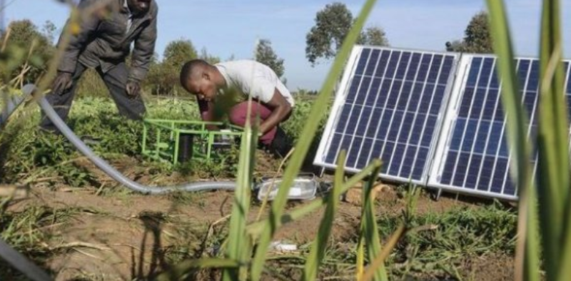 Banque Agricole : Lancement, mardi prochain, de Woomal Mbay, une solution de pompage et d’irrigation solaire connectée