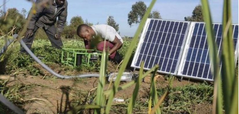 Banque Agricole : Lancement, mardi prochain, de Woomal Mbay, une solution de pompage et d’irrigation solaire connectée