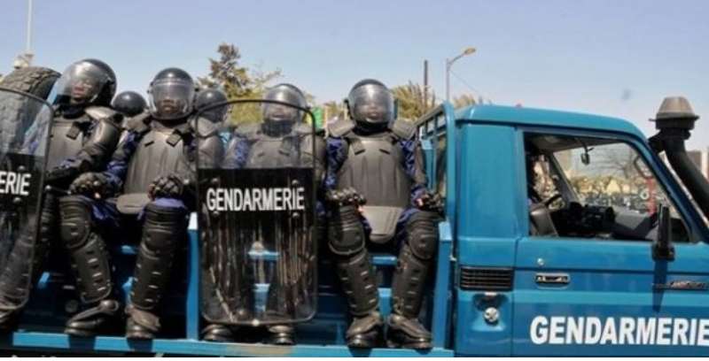 Diourbel : Le commandant de la gendarmerie, le voleur, les 19 moutons et la course-poursuite nocturne