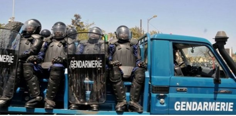 Diourbel : Le commandant de la gendarmerie, le voleur, les 19 moutons et la course-poursuite nocturne