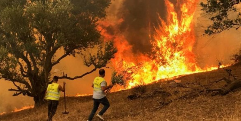 Le nord de l’Algérie meurtri par des incendies dans plusieurs villes