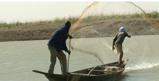 UNE HISTOIRE DE VOL DE POISSON VIRE AU DRAME !