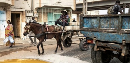 Sébikotane : le charretier meurt électrocuté en voulant…