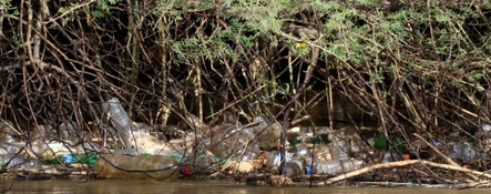 A la source du Nil en Ouganda, les pêcheurs, les usines, la pollution