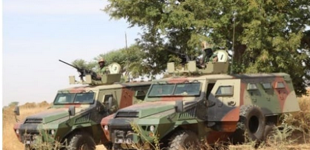 Casamance : L’armée chasse les rebelles des zones de culture et de trafic de chanvre indien