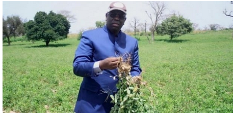 Souveraineté alimentaire : Macky Sall accélère la modernisation de l’agriculture