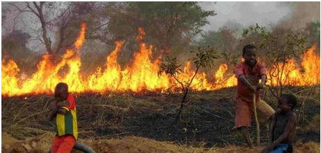 24 heures d’affilée de feu de brousse au Ranche de Dolly