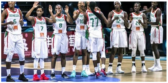 Afrobasket féminin : Les Lionnes quittent aujourd’hui