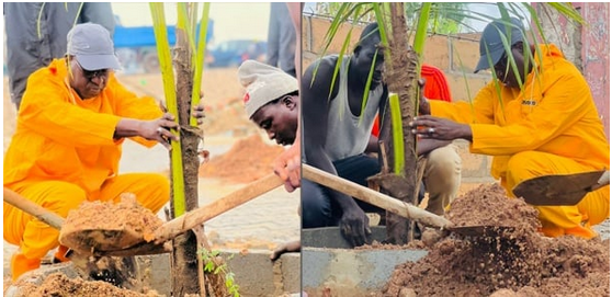 Mbao : Abdou Karim Sall lance les travaux de reboisement de la commune