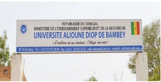 Université de Bambey : elle vole le certificat d’inscription d’une étudiante pour aller étudier en France