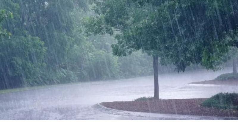 Hivernage : le Sénégal se réveille sous la pluie ce mercredi, ce que prévoit la météo