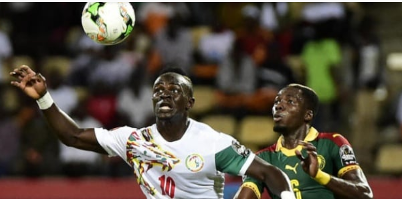 Match amical : Sénégal / Cameroun, choc des félins au stade Bollaert