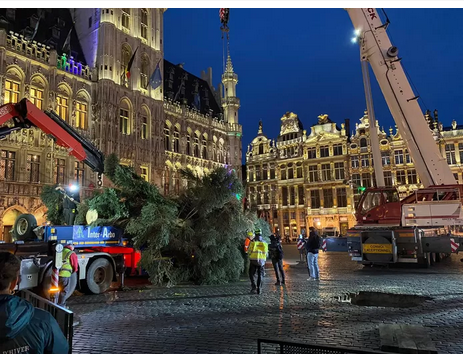 Le sapin de Noël est arrivé sur la Grand-Place de Bruxelles