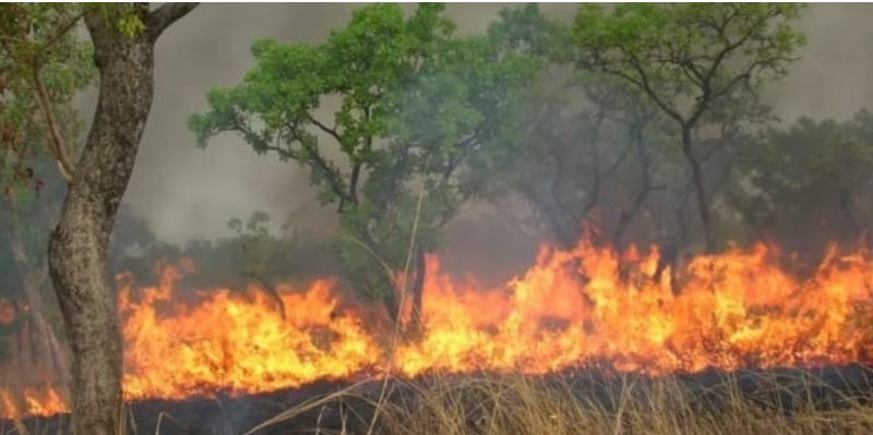 Ranch de Dolly : Un feu de brousse ravage plus de 15 ha du tapis herbacé