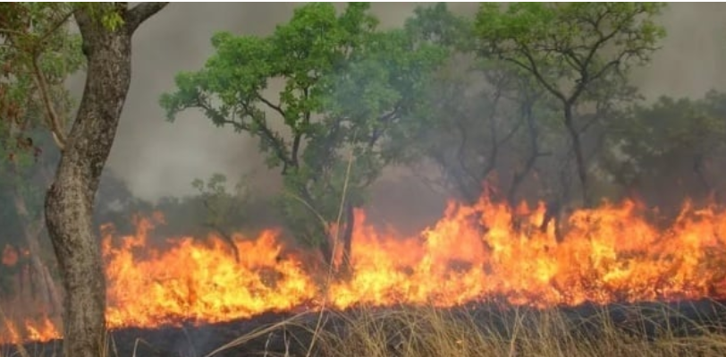 Ranch de Dolly : Un feu de brousse ravage plus de 15 ha du tapis herbacé