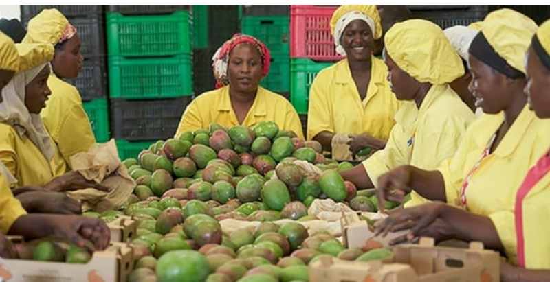 Les États-Unis saluent une année « record » pour le commerce avec l’Afrique