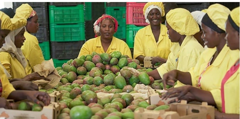 Les États-Unis saluent une année « record » pour le commerce avec l’Afrique