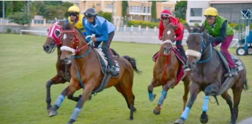 Hippisme – Grand Prix de l’Alliance des États du Sahel : Le Sénégal remporte deux places au podium