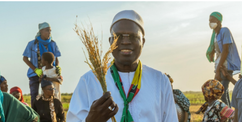 Souveraineté alimentaire : Khalifa Sall veut consacrer 1000 milliards du budget national au secteur primaire