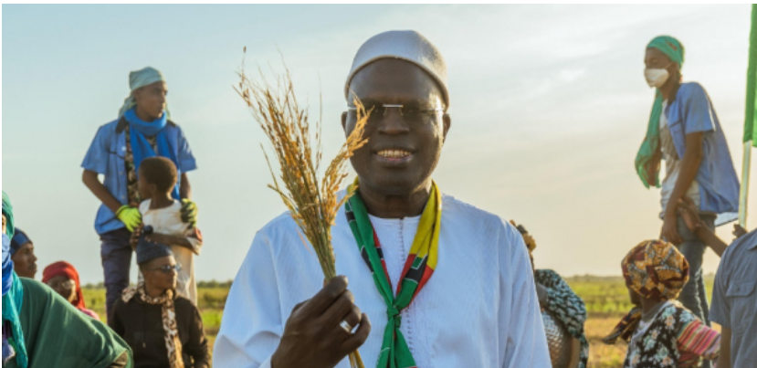 Souveraineté alimentaire : Khalifa Sall veut consacrer 1000 milliards du budget national au secteur primaire