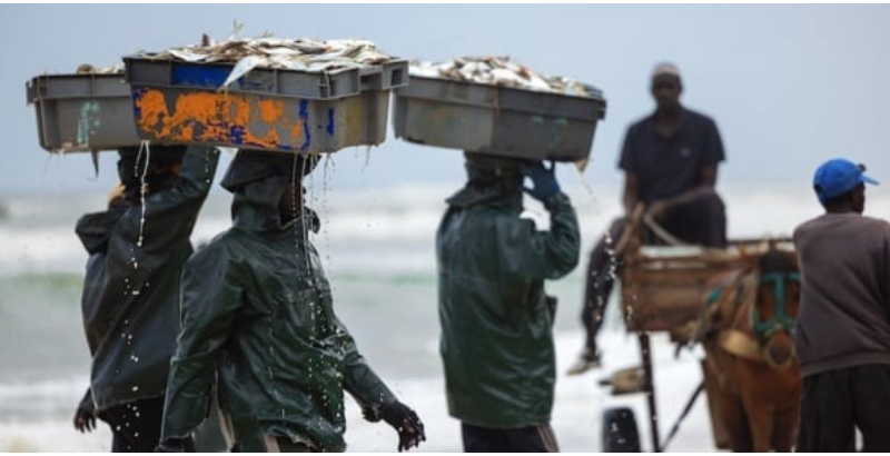 Pêche illicite: l’UE adresse un avertissement formel au Sénégal