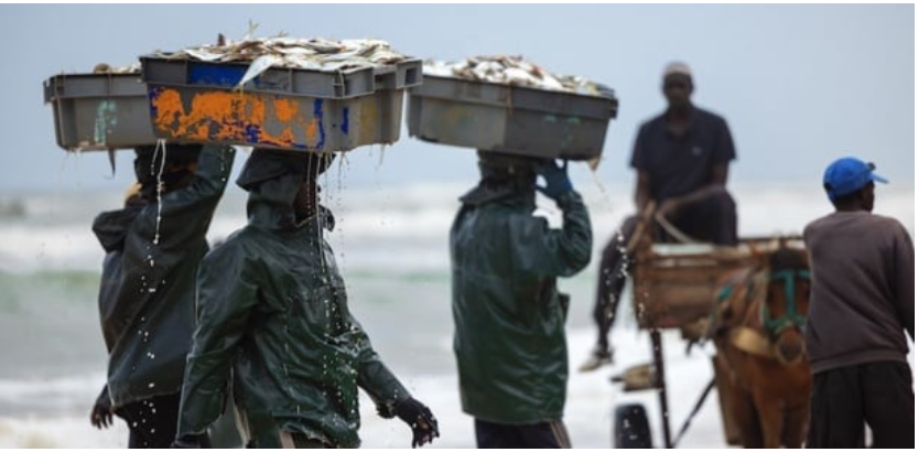 Pêche illicite: l’UE adresse un avertissement formel au Sénégal