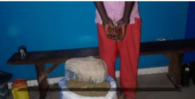 Ziguinchor : un trafiquant notoire de drogue tombe