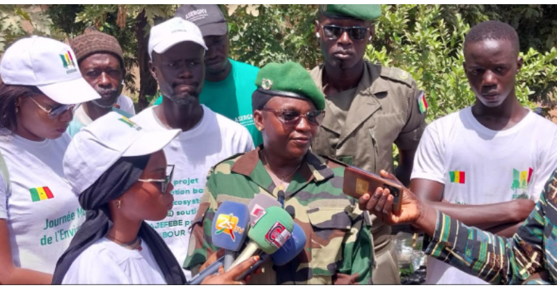 Journée mondiale de l’environnement : Les élèves du lycée Demba Diop s’investissent dans la plantation