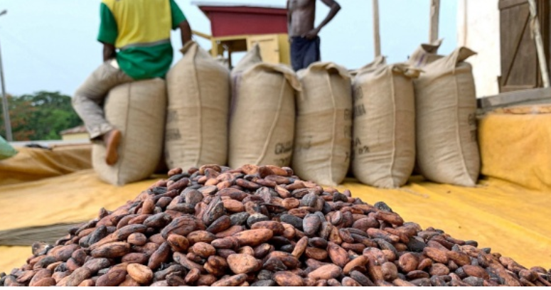 Le Ghana, deuxième producteur mondial de cacao, augmente de 45% le prix des fèves